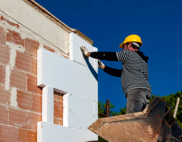 Best Local Insulation Services  in Oak Grove, KY