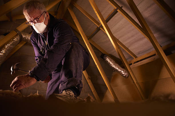 Best Attic Insulation Installation  in Oak Grove, KY